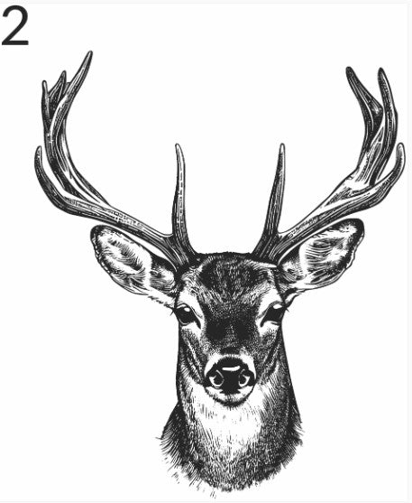 DEER LASER ENGRAVING OPTIONS