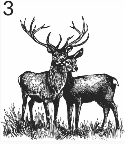 DEER LASER ENGRAVING OPTIONS