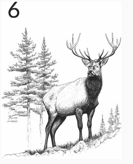 "NOT FOR SALE" SAMPLE LASER ENGRAVING ELK OPTIONS